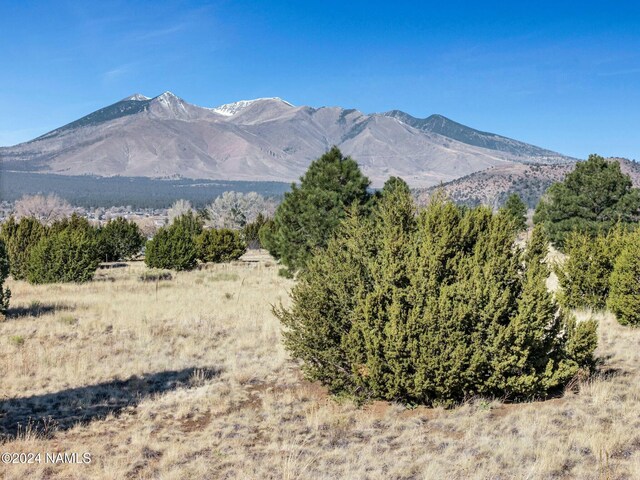 8170 Autumn Dr, Flagstaff, AZ 86004 - photo 5