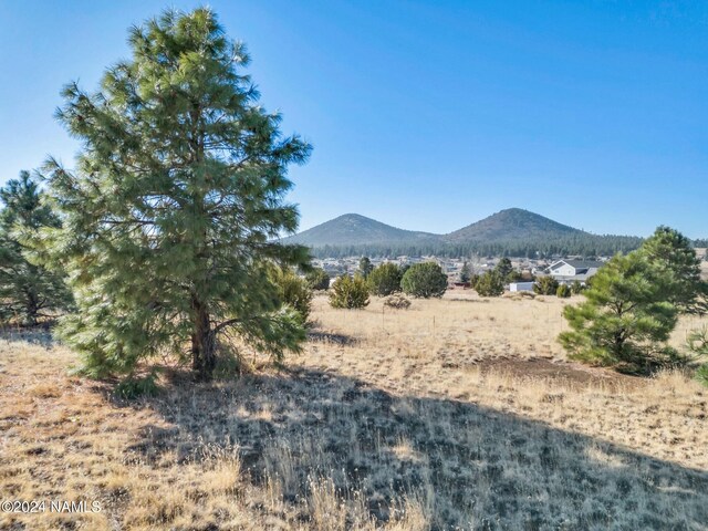 8170 Autumn Dr, Flagstaff, AZ 86004 - property view of mountains