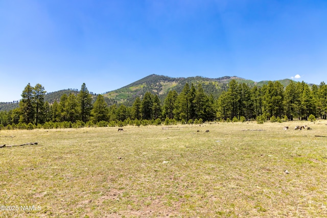 00 Crowley Trl, Flagstaff, AZ 86001 - photo 18