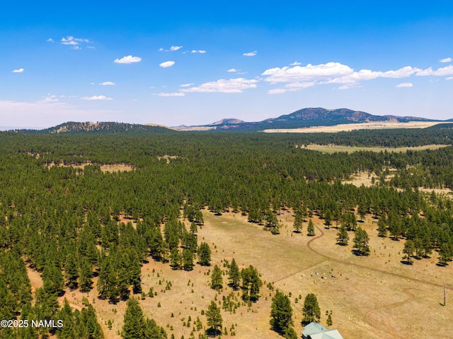 00 Crowley Trl, Flagstaff, AZ 86001 - photo 10