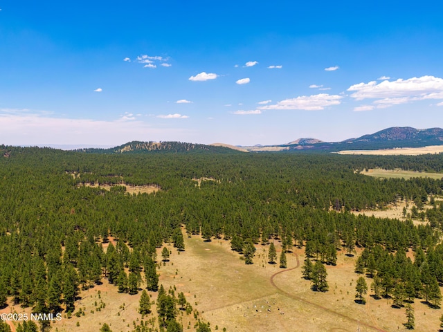 00 Crowley Trl, Flagstaff, AZ 86001 - photo 14