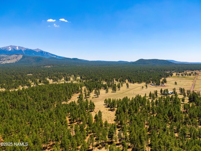 00 Crowley Trl, Flagstaff, AZ 86001 - photo 15