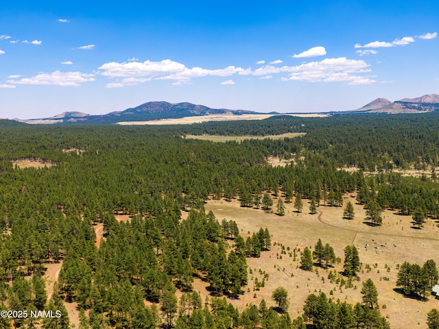 00 Crowley Trl, Flagstaff, AZ 86001 - photo 26