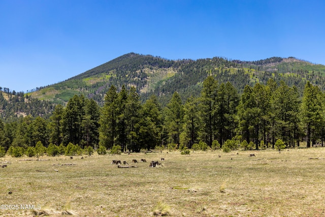 00 Crowley Trl, Flagstaff, AZ 86001 - photo 7