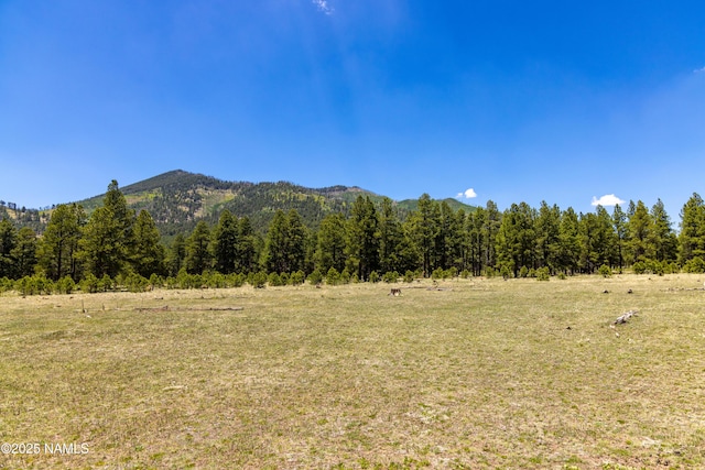 00 Crowley Trl, Flagstaff, AZ 86001 - photo 24