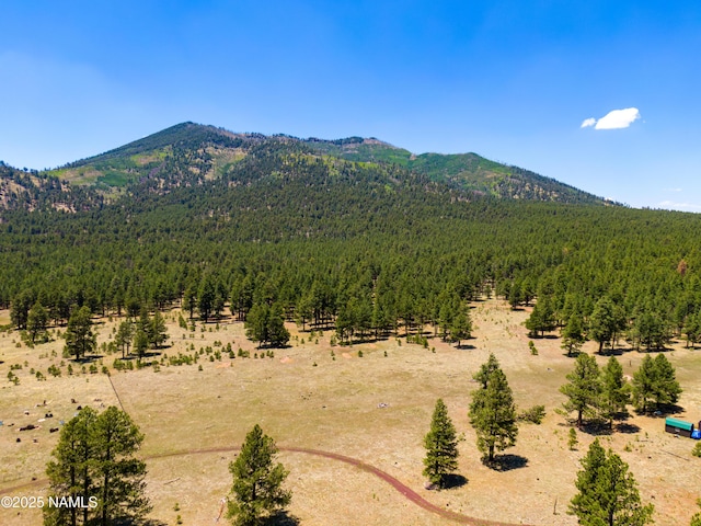00 Crowley Trl, Flagstaff, AZ 86001 - photo 21