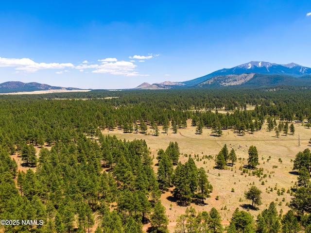 00 Crowley Trl, Flagstaff, AZ 86001 - photo 30