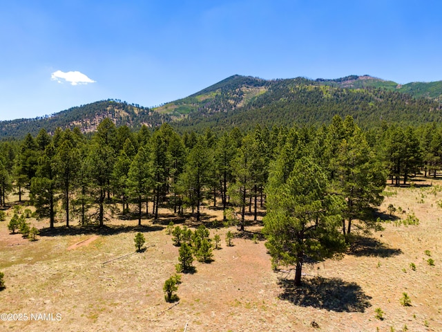 00 Crowley Trl, Flagstaff, AZ 86001 - photo 42