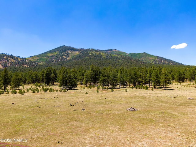 00 Crowley Trl, Flagstaff, AZ 86001 - photo 29