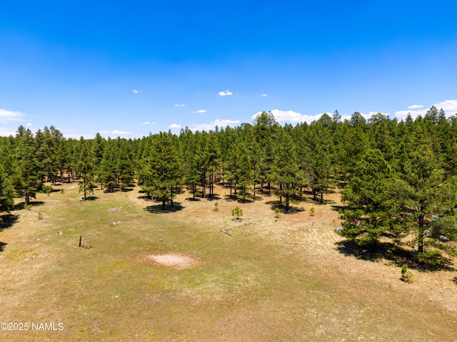 00 Crowley Trl, Flagstaff, AZ 86001 - photo 39