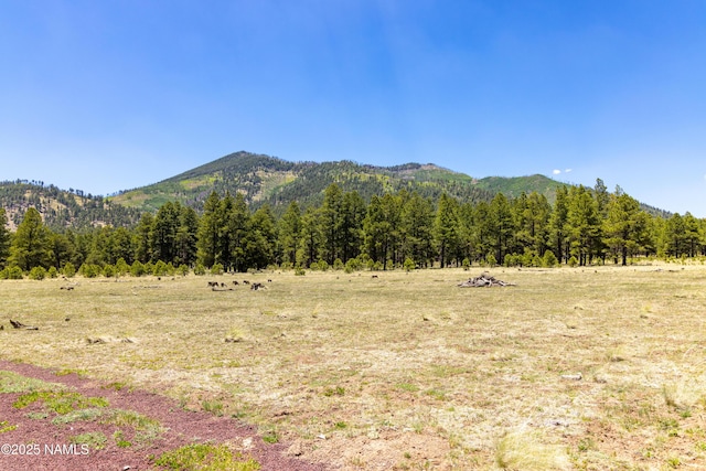 00 Crowley Trl, Flagstaff, AZ 86001 - photo 12