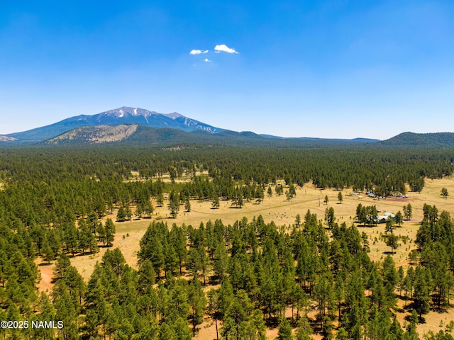 00 Crowley Trl, Flagstaff, AZ 86001 - photo 20