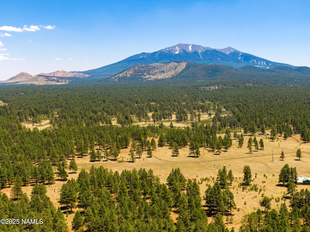 00 Crowley Trl, Flagstaff, AZ 86001 - photo 23