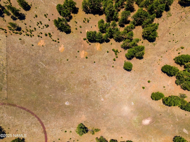 00 Crowley Trl, Flagstaff, AZ 86001 - photo 1