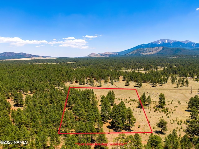 00 Crowley Trl, Flagstaff, AZ 86001 - photo 31