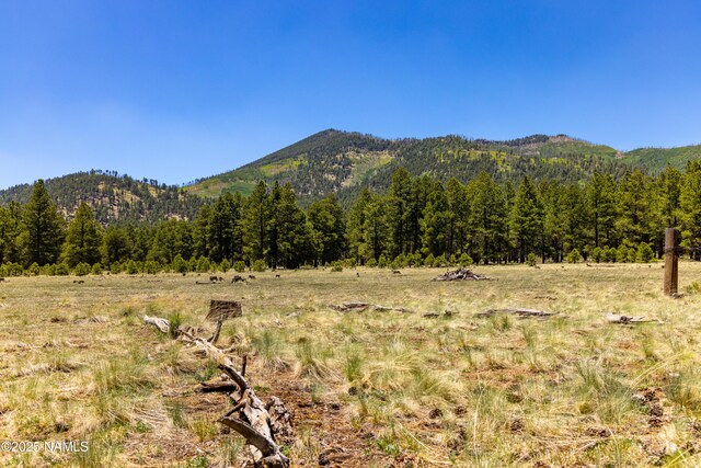00 Crowley Trl, Flagstaff, AZ 86001 - photo 37
