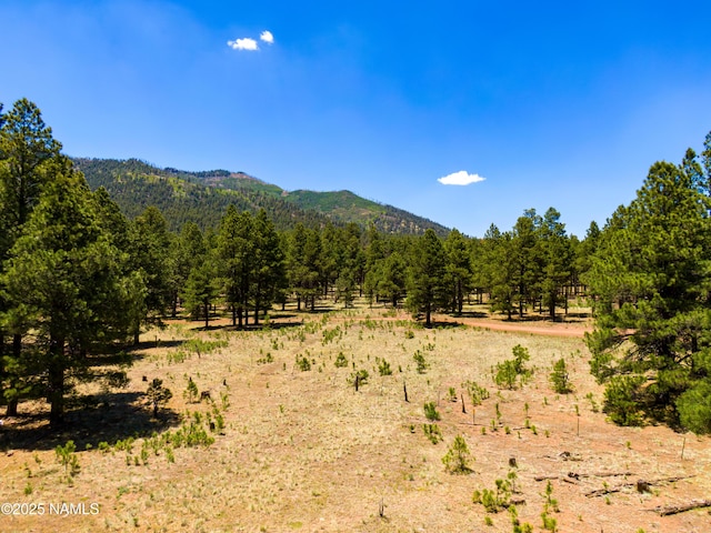 00 Crowley Trl, Flagstaff, AZ 86001 - photo 11