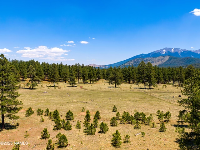 00 Crowley Trl, Flagstaff, AZ 86001 - photo 4