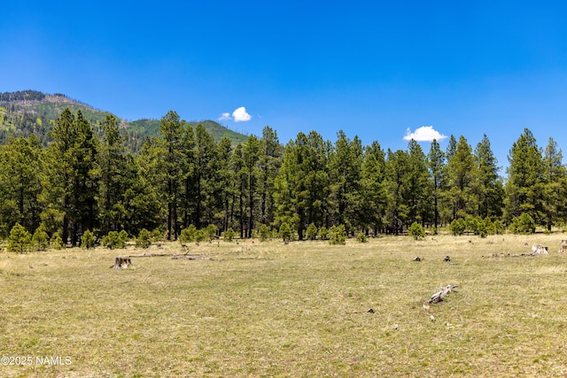 00 Crowley Trl, Flagstaff, AZ 86001 - photo 35