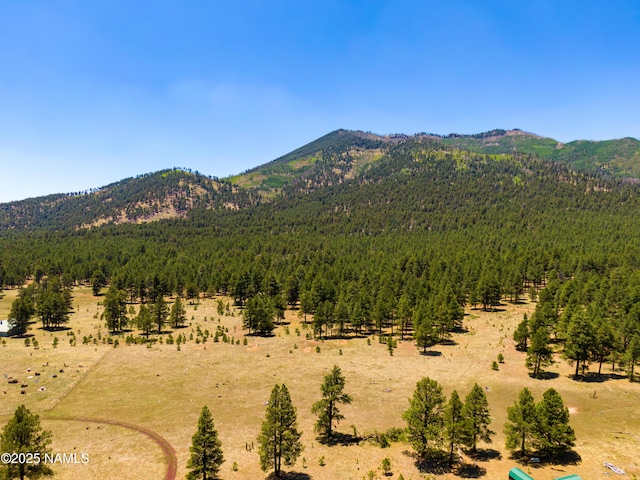 00 Crowley Trl, Flagstaff, AZ 86001 - photo 5