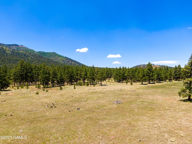 00 Crowley Trl, Flagstaff, AZ 86001 - photo 33
