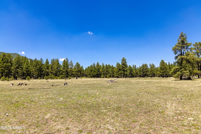 00 Crowley Trl, Flagstaff, AZ 86001 - photo 25