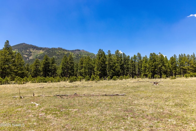 00 Crowley Trl, Flagstaff, AZ 86001 - photo 41