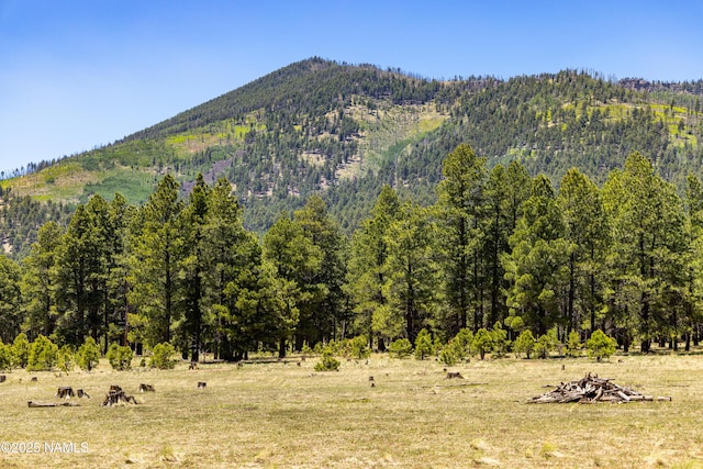 00 Crowley Trl, Flagstaff, AZ 86001 - photo 32