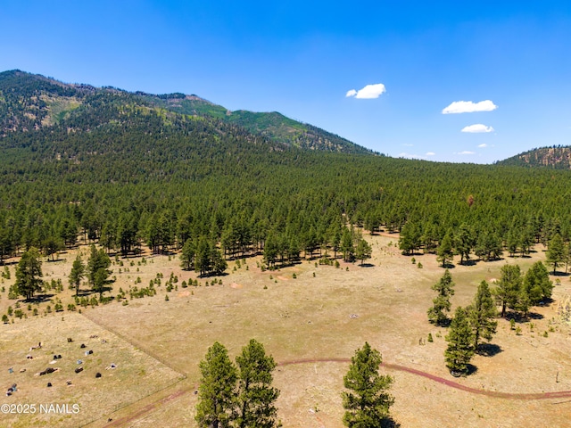 00 Crowley Trl, Flagstaff, AZ 86001 - photo 28