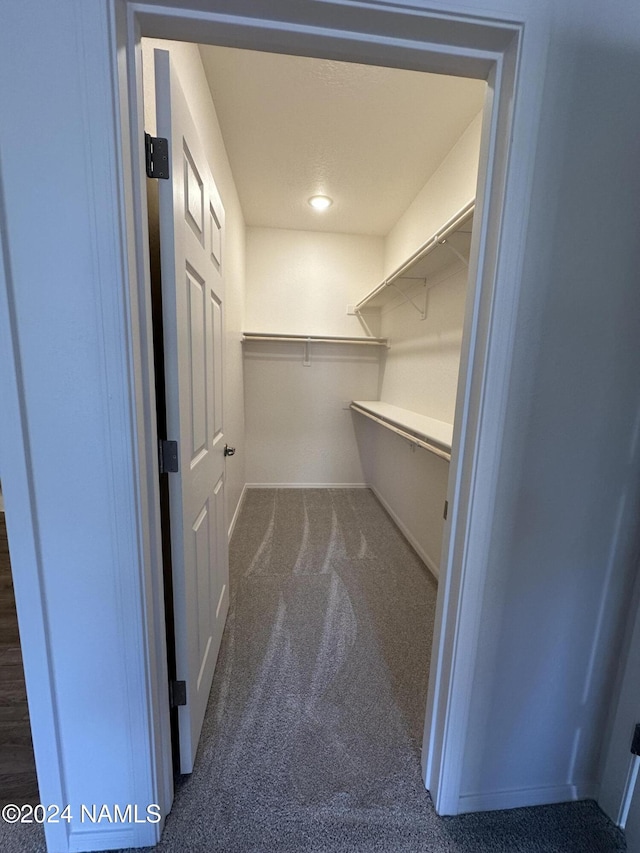 spacious closet featuring dark colored carpet