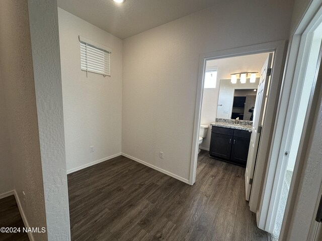 interior space featuring sink and dark wood-type flooring