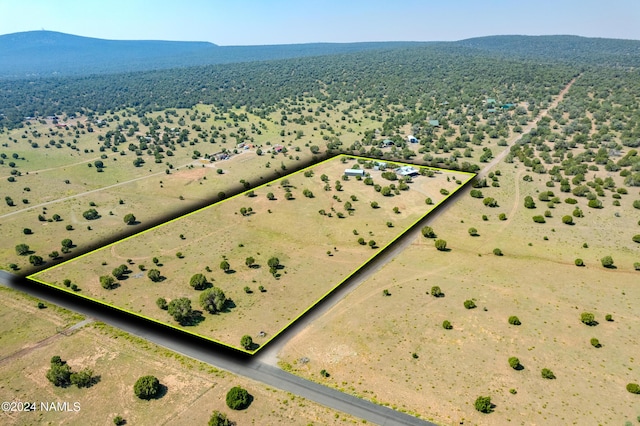 bird's eye view featuring a mountain view