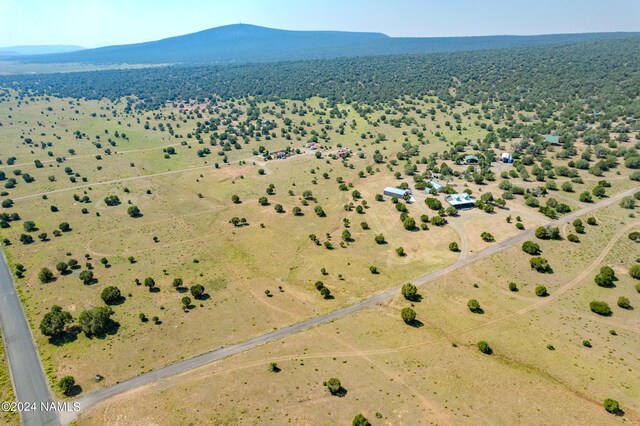 drone / aerial view featuring a mountain view