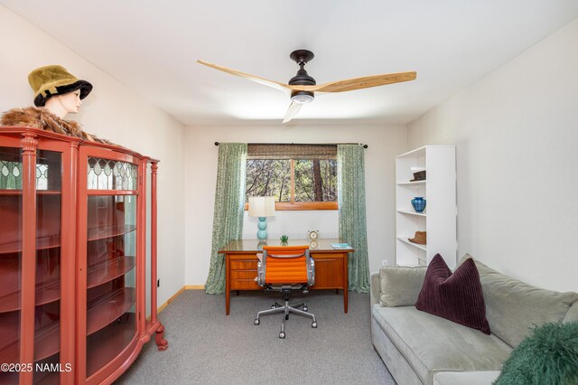 3919 N Paradise Rd, Flagstaff, AZ 86004 - photo 45