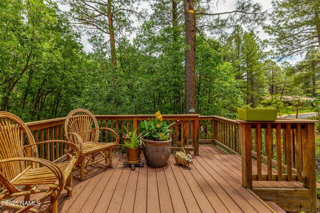 3919 N Paradise Rd, Flagstaff, AZ 86004 - photo 6