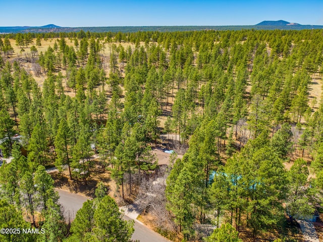 3919 N Paradise Rd, Flagstaff, AZ 86004 - photo 90