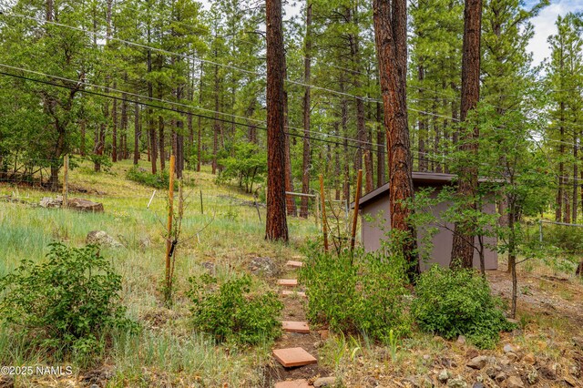 3919 N Paradise Rd, Flagstaff, AZ 86004 - photo 79
