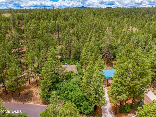 3919 N Paradise Rd, Flagstaff, AZ 86004 - photo 83