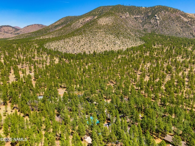 3919 N Paradise Rd, Flagstaff, AZ 86004 - photo 86