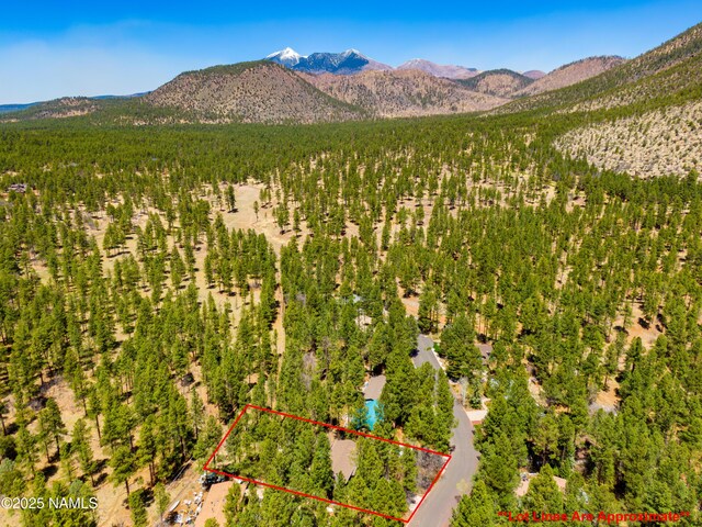 3919 N Paradise Rd, Flagstaff, AZ 86004 - photo 87
