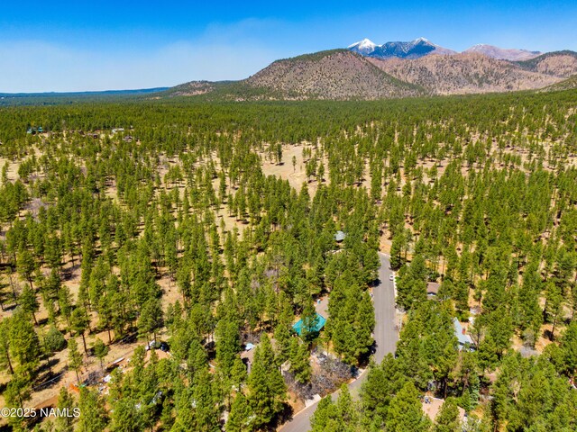 3919 N Paradise Rd, Flagstaff, AZ 86004 - photo 89