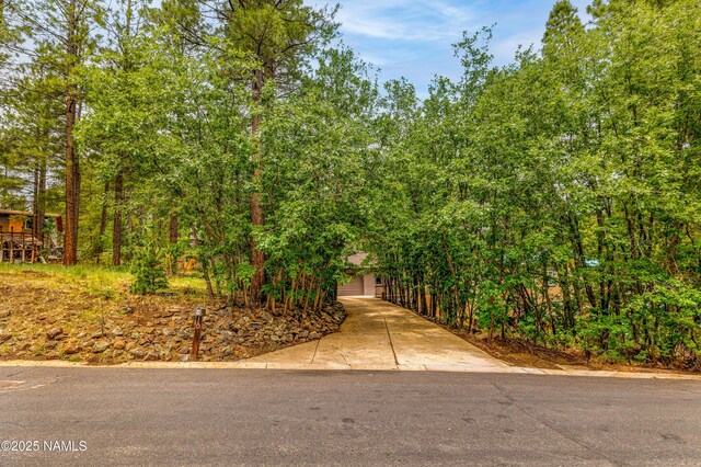 3919 N Paradise Rd, Flagstaff, AZ 86004 - photo 72