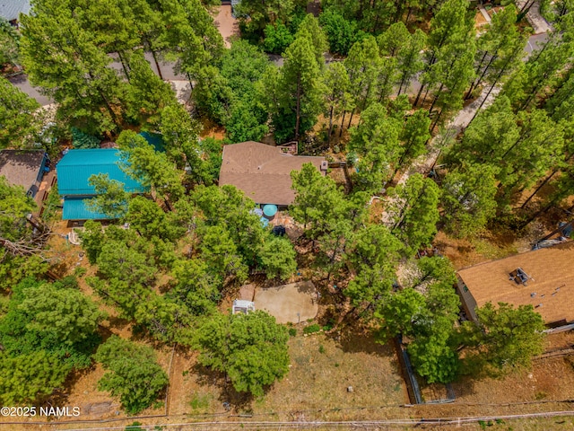 3919 N Paradise Rd, Flagstaff, AZ 86004 - photo 82