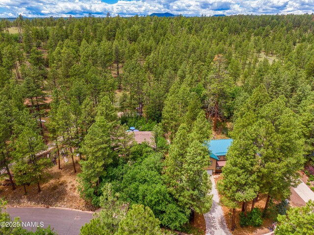 3919 N Paradise Rd, Flagstaff, AZ 86004 - photo 74