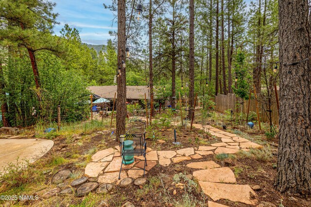 3919 N Paradise Rd, Flagstaff, AZ 86004 - photo 64