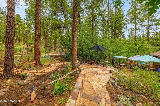 3919 N Paradise Rd, Flagstaff, AZ 86004 - photo 66