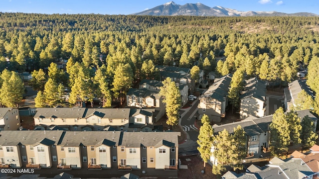 birds eye view of property featuring a mountain view