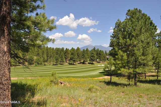 1590 E Castle Hills Dr Unit 3, Flagstaff AZ, 86005 land for sale