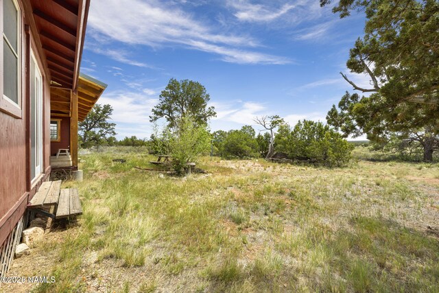 89 N Wyandotte Rd, Williams, AZ 86046 - view of yard