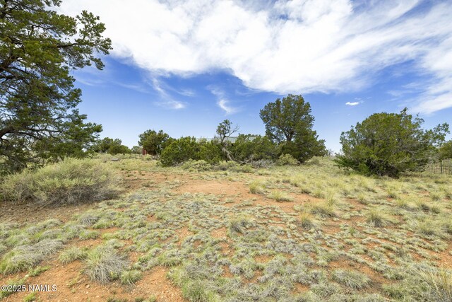 89 N Wyandotte Rd, Williams, AZ 86046 - view of nature